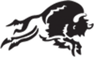 SKC-Bison-300x183