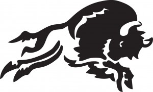 SKC-Bison