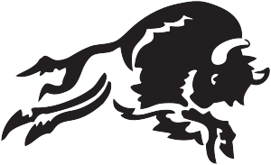 SKC-Bison