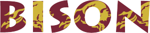 bisonText2015noBG2