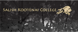 SKC CBI Logo Acceptable Contrast in Gold